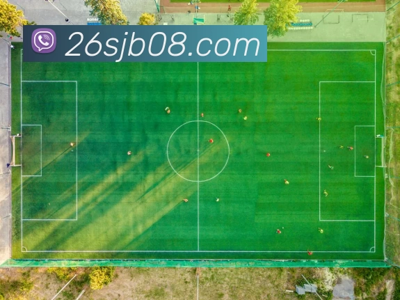 2026世界杯8强发展历程